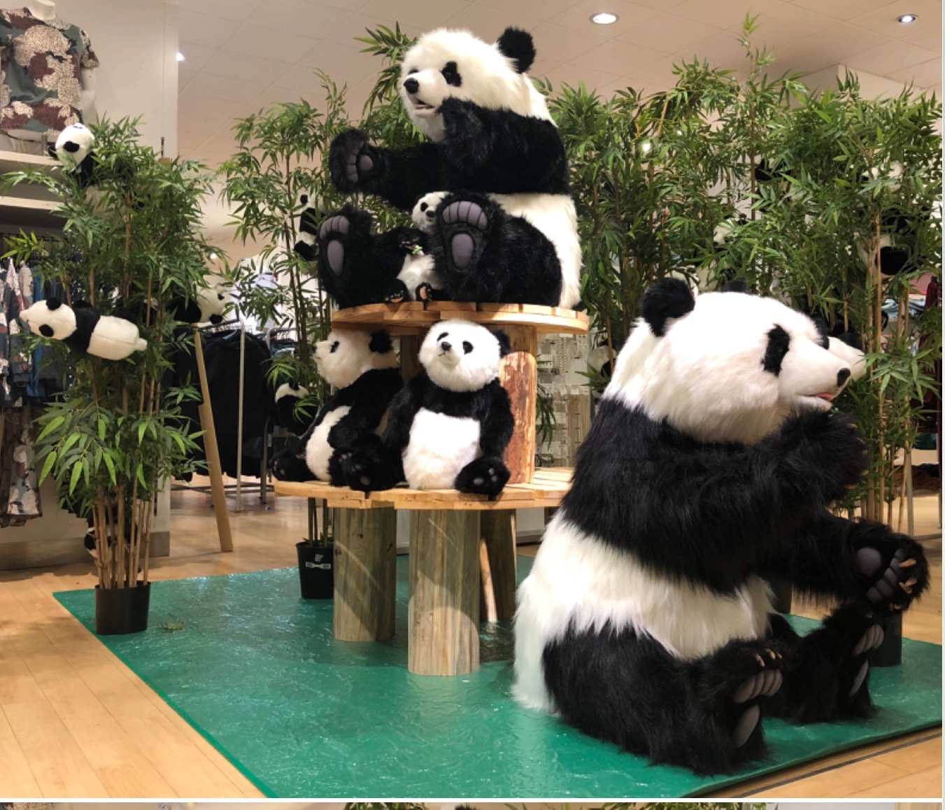Pandas décoratifs ambiance jungle chez Balloon Event