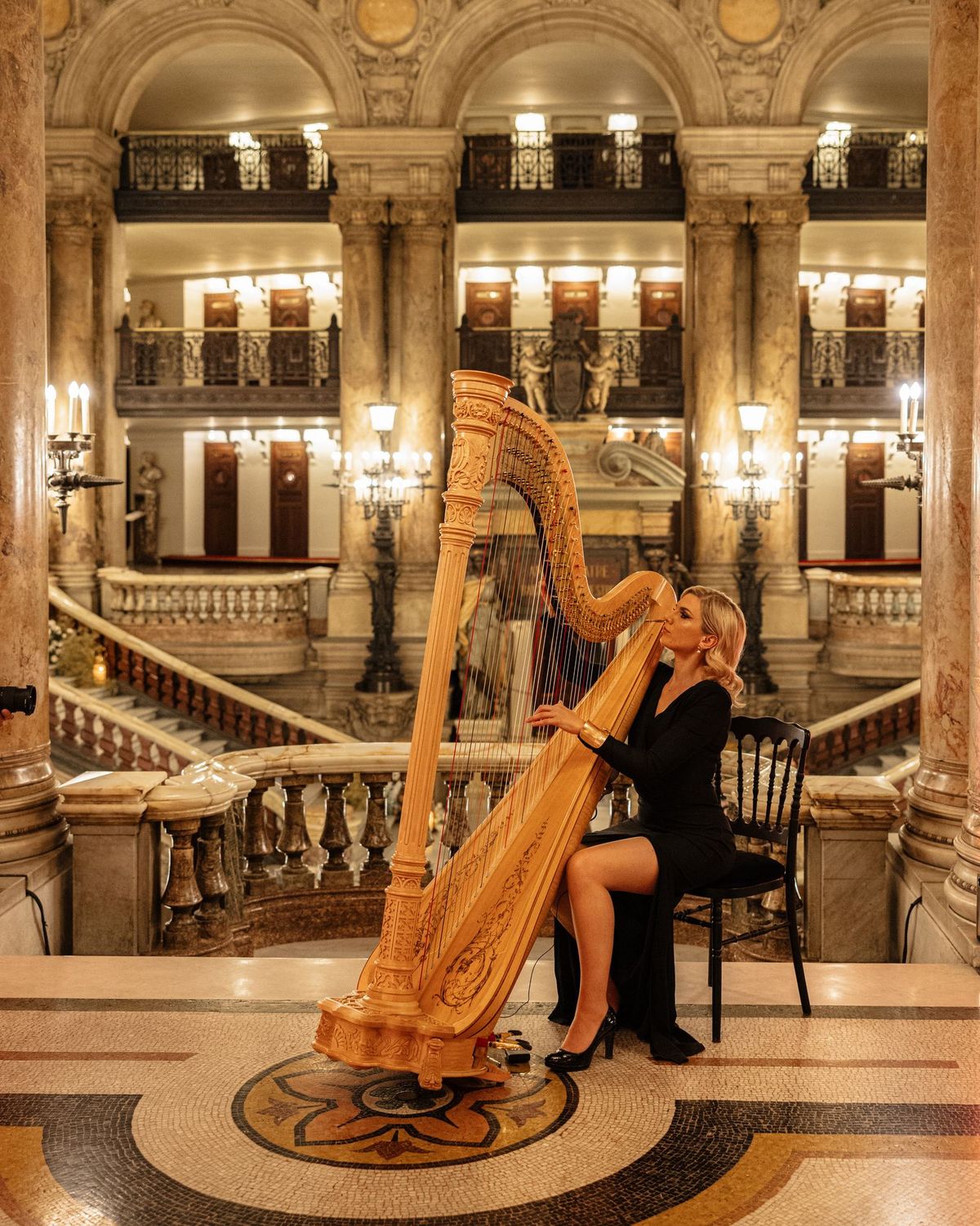 artistes musiciennes harpiste