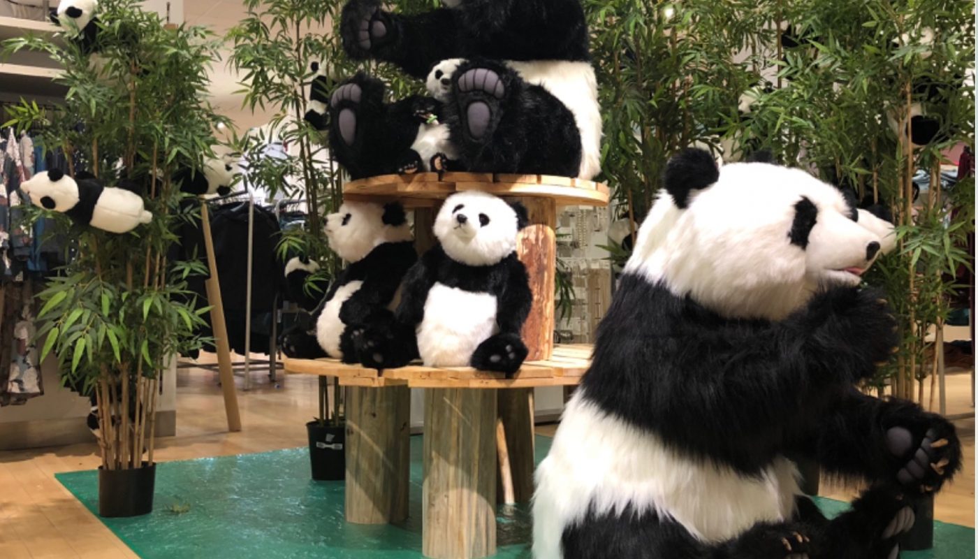 Pandas décoratifs ambiance jungle chez Balloon Event